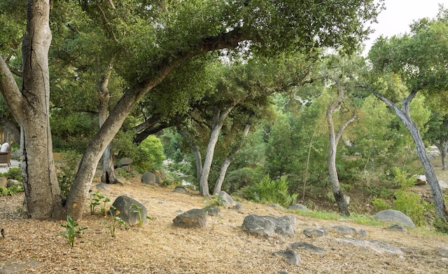 1067 E Mountain Dr, Santa Barbara, CA 93108 - view of undeveloped land