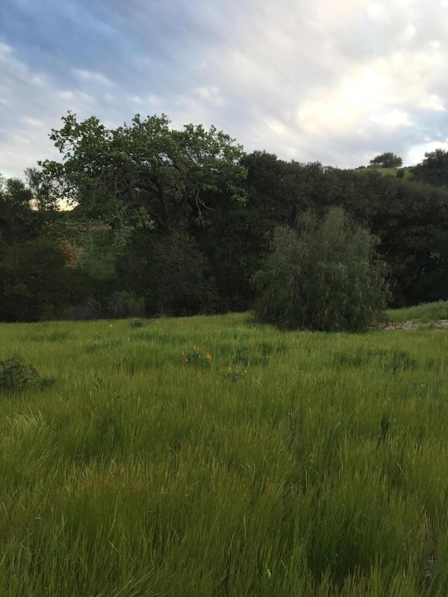 40 Bobcat Springs Rd, Buellton, CA 93427 - photo 16