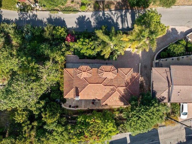 533 Conejo Rd, Santa Barbara, CA 93103 - photo 3