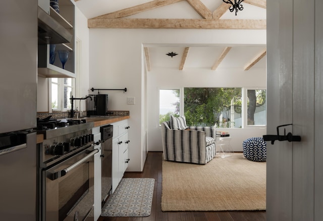 15 Loma Media Rd, Santa Barbara, CA 93103 - kitchen featuring appliances with stainless steel finishes, white cabinets, and dark wood-type flooring
