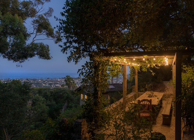 15 Loma Media Rd, Santa Barbara, CA 93103 - view of yard