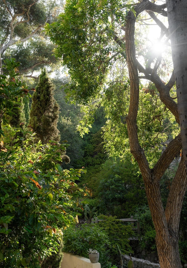 15 Loma Media Rd, Santa Barbara, CA 93103 - view of woods