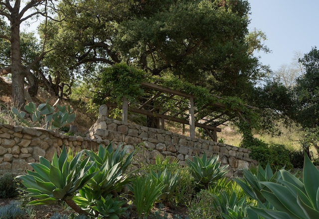 15 Loma Media Rd, Santa Barbara, CA 93103 - view of yard