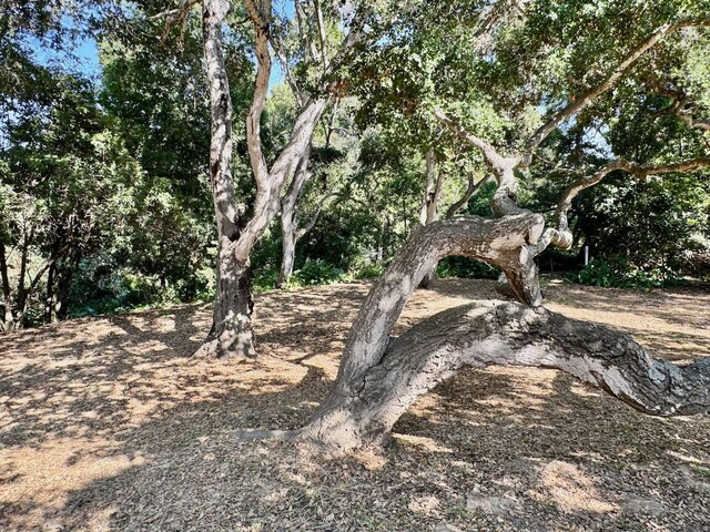 1445 School House Rd, Montecito, CA 93108 - photo 32