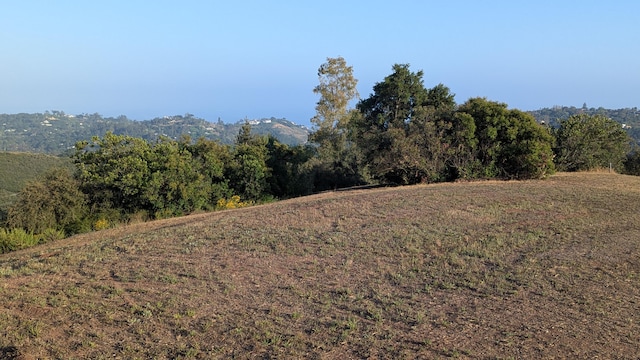 965 W Mountain Dr, Santa Barbara, CA 93103 - view of local wilderness