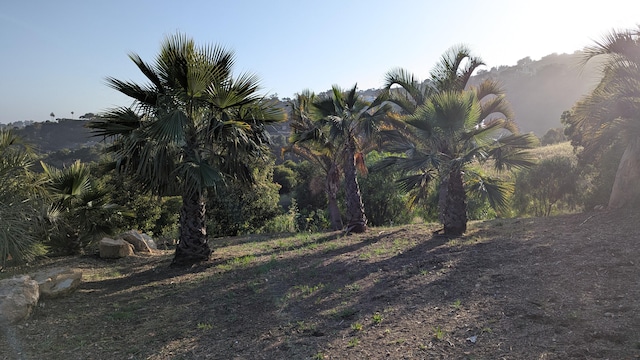 965 W Mountain Dr, Santa Barbara, CA 93103 - view of undeveloped land