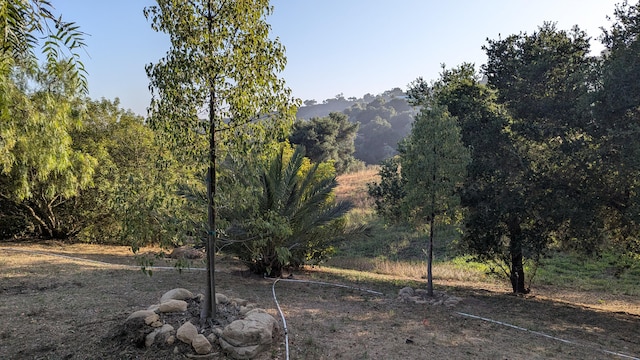 965 W Mountain Dr, Santa Barbara, CA 93103 - view of yard