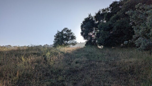 965 W Mountain Dr, Santa Barbara, CA 93103 - view of nature