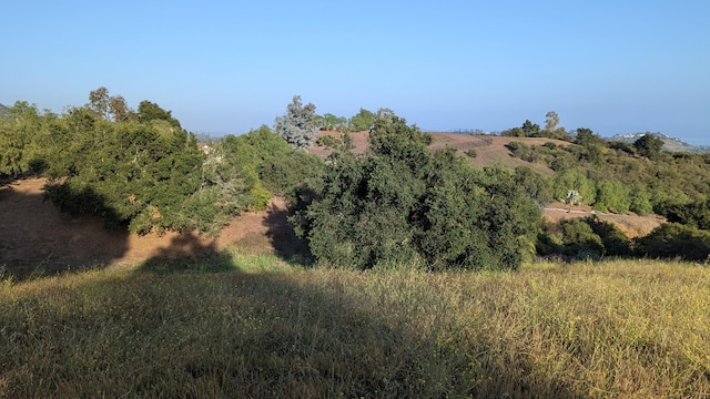 965 W Mountain Dr, Santa Barbara, CA 93103 - view of nature