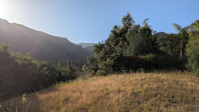 965 W Mountain Dr, Santa Barbara, CA 93103 - view of mountain background