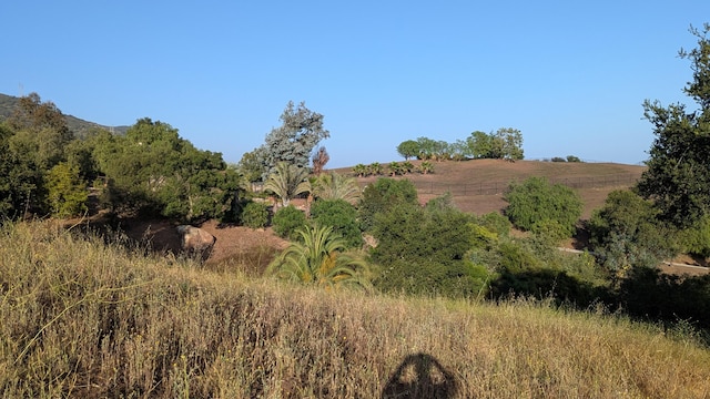 965 W Mountain Dr, Santa Barbara, CA 93103 - view of local wilderness