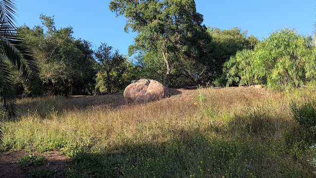 965 W Mountain Dr, Santa Barbara, CA 93103 - view of tree filled area