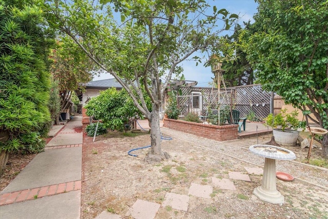 1300 E Airport Ave, Lompoc, CA 93436 - view of yard