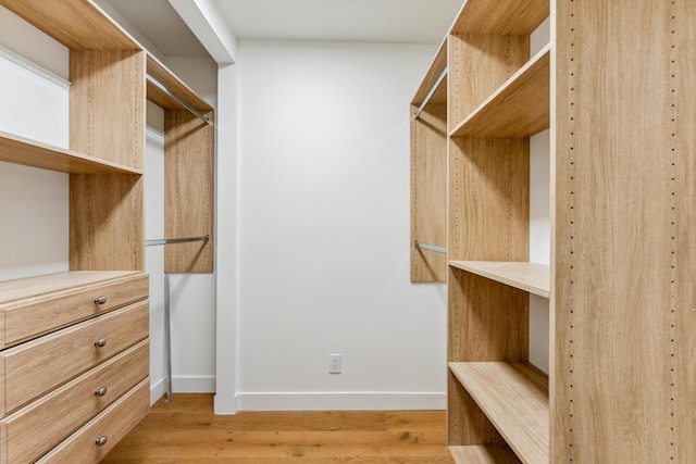 1412 Crestline Dr, Santa Barbara, CA 93105 - spacious closet with light wood-type flooring
