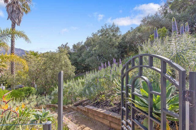 595 Freehaven Dr, Santa Barbara, CA 93108 - photo 68