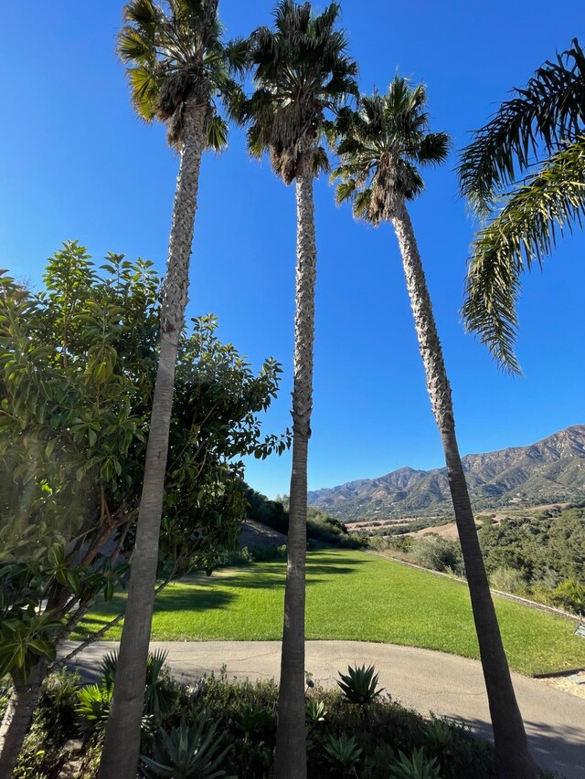 595 Freehaven Dr, Santa Barbara, CA 93108 - photo 69