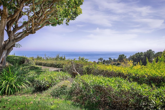2240 Ortega Ranch Rd, Santa Barbara, CA 93108 - photo 70