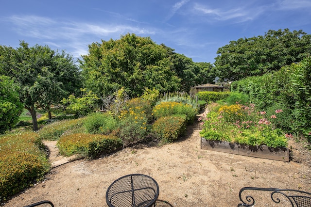 2240 Ortega Ranch Rd, Santa Barbara, CA 93108 - photo 83