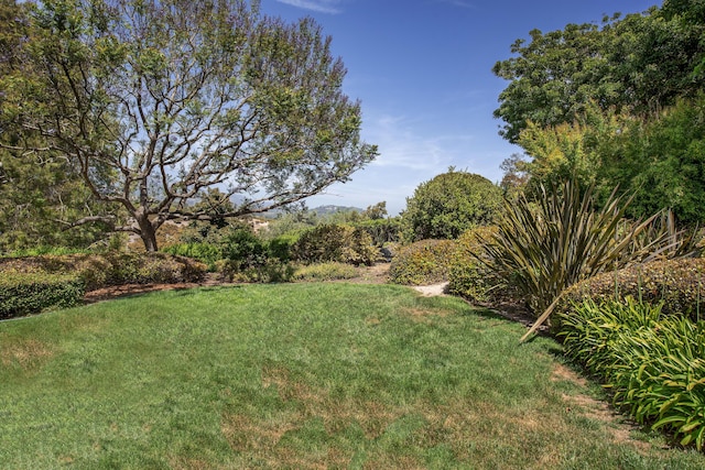 2240 Ortega Ranch Rd, Santa Barbara, CA 93108 - photo 82