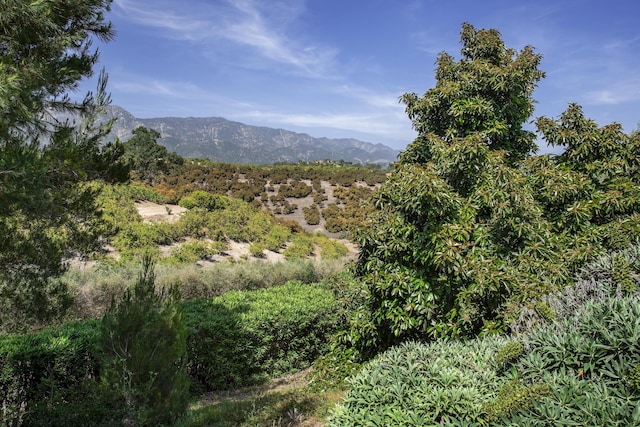 2240 Ortega Ranch Rd, Santa Barbara, CA 93108 - photo 73