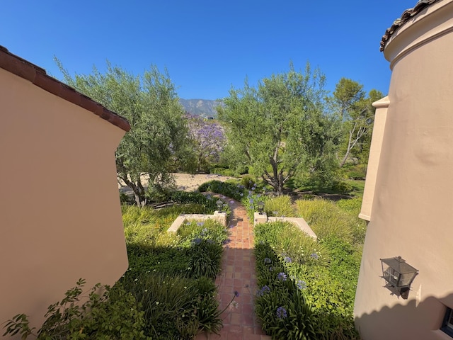 2240 Ortega Ranch Rd, Santa Barbara, CA 93108 - photo 81