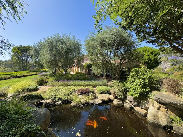2240 Ortega Ranch Rd, Santa Barbara, CA 93108 - photo 6