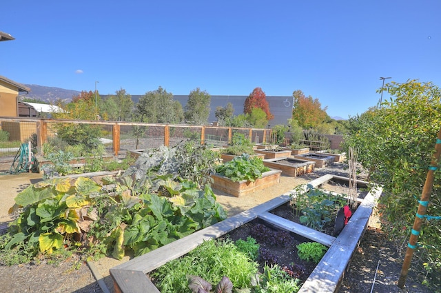 6607 Fathom Way, Goleta, CA 93117 - view of yard featuring a garden