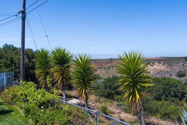 412 Milky Way, Lompoc, CA 93436 - view of yard