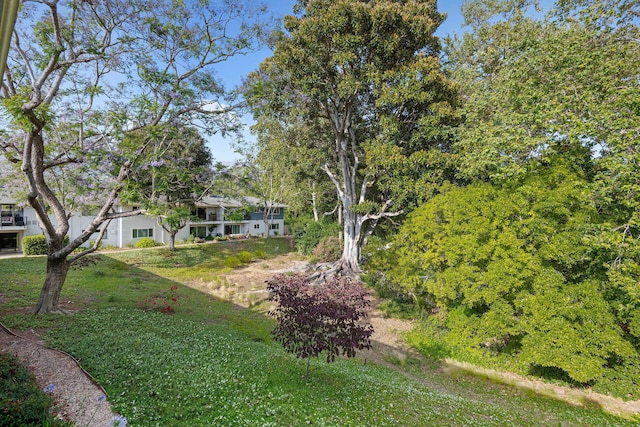3639 San Remo Dr Unit 15, Santa Barbara, CA 93105 - view of green lawn