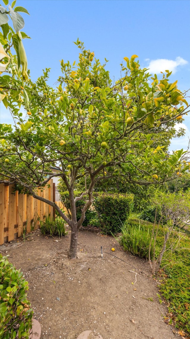 409 Northgate Dr Unit A, Goleta, CA 93117 - photo 6