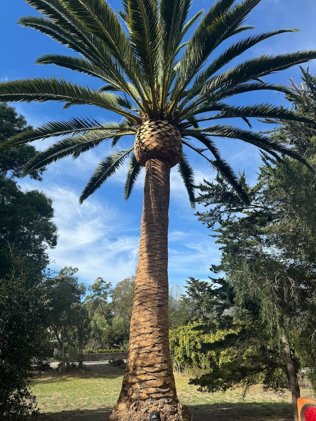 488 Barker Pass Rd, Santa Barbara, CA 93108