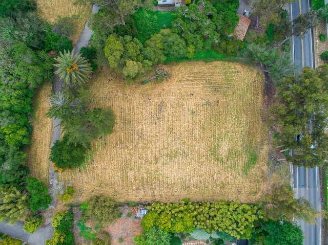 488 Barker Pass Rd, Santa Barbara, CA 93108
