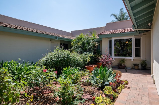23 La Cumbre Cir, Santa Barbara, CA 93105 - view of yard