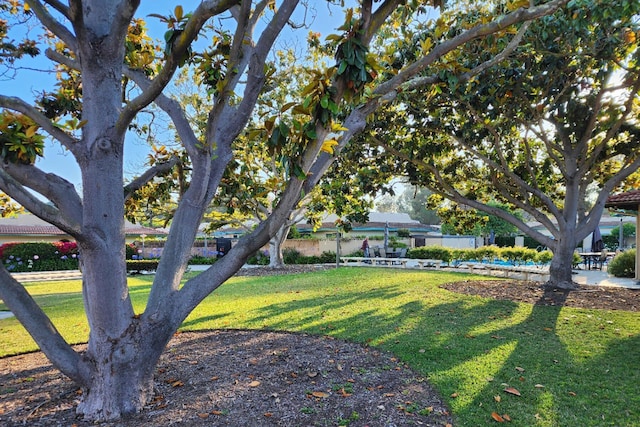 23 La Cumbre Cir, Santa Barbara, CA 93105 - view of yard