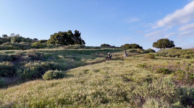 80 Bobcat Springs Rd, Buellton, CA 93427 - view of nature featuring rural landscape