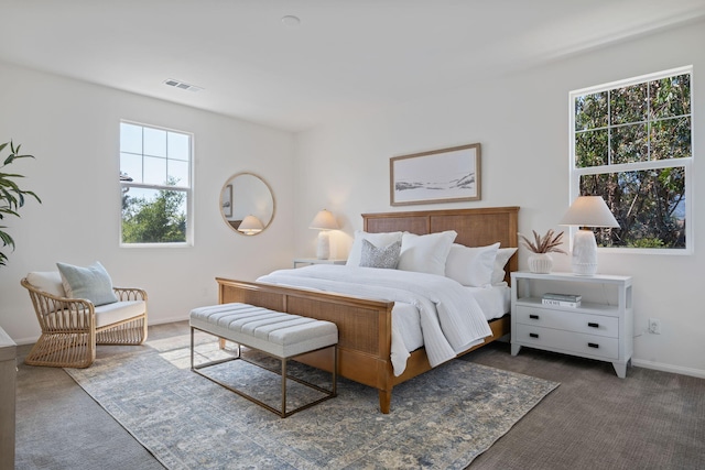 6594 Pipeline Pl, Goleta, CA 93117 - bedroom with multiple windows and carpet floors