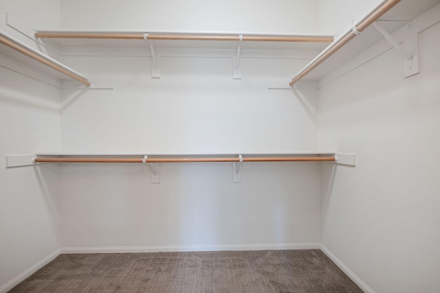6594 Pipeline Pl, Goleta, CA 93117 - walk in closet featuring carpet flooring