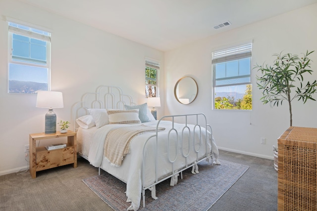 6594 Pipeline Pl, Goleta, CA 93117 - bedroom with multiple windows and carpet floors