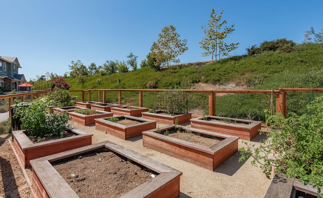 6594 Pipeline Pl, Goleta, CA 93117 - view of patio / terrace with a garden