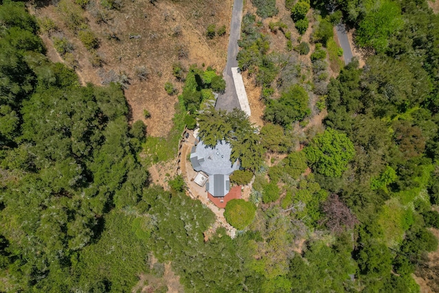 4878 Casitas Pass Rd, Ventura, CA 93001 - photo 3