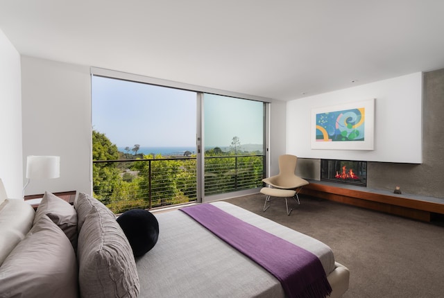 1944 Eucalyptus Hill Rd, Santa Barbara, CA 93108 - bedroom featuring multiple windows, a wall of windows, a glass covered fireplace, and carpet