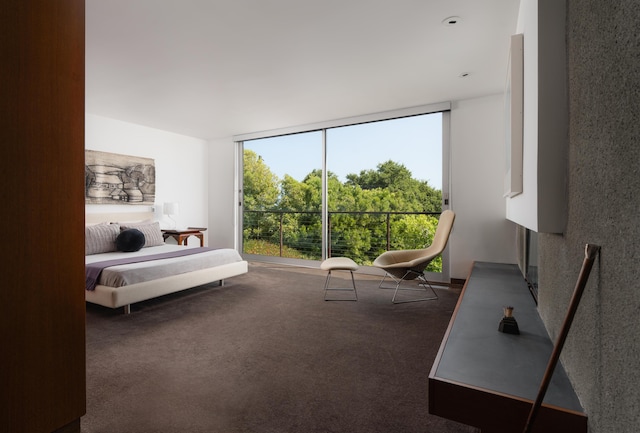 1944 Eucalyptus Hill Rd, Santa Barbara, CA 93108 - carpeted bedroom featuring a wall of windows