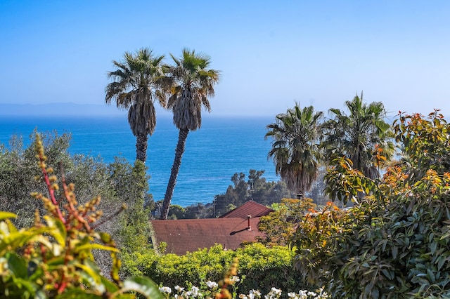 2365 Whitney Ave, Summerland, CA 93067 - water view