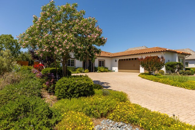 1231 Pistache Ave, Solvang, CA 93463 - photo 3