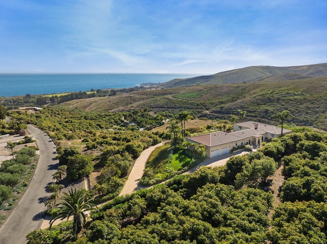 425 Calle Lippizana, Goleta, CA 93117 - photo 29
