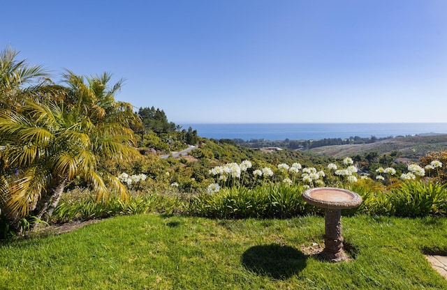 425 Calle Lippizana, Goleta, CA 93117 - photo 15