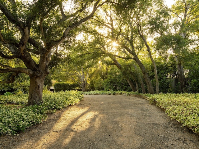 650 San Ysidro Rd, Montecito, CA 93108 - photo 10