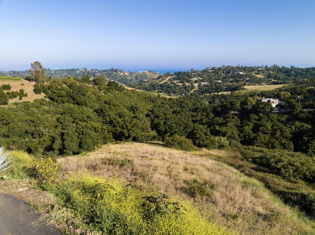 930 W Mountain Dr, Santa Barbara, CA 93103 - photo 4