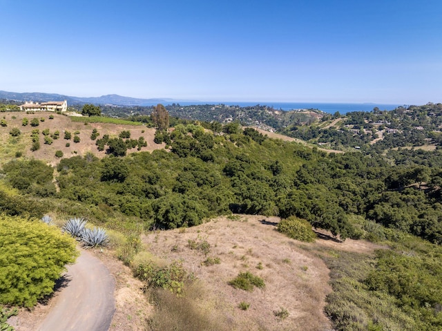 930 W Mountain Dr, Santa Barbara, CA 93103 - photo 7
