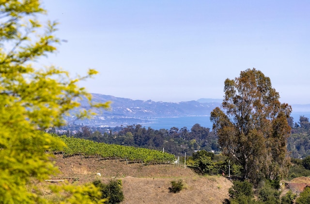 930 W Mountain Dr, Santa Barbara, CA 93103 - photo 8